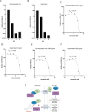 Fig. 1. Ivermectin is a potent inhibitor of the SARS-CoV-2 clinical isolate…